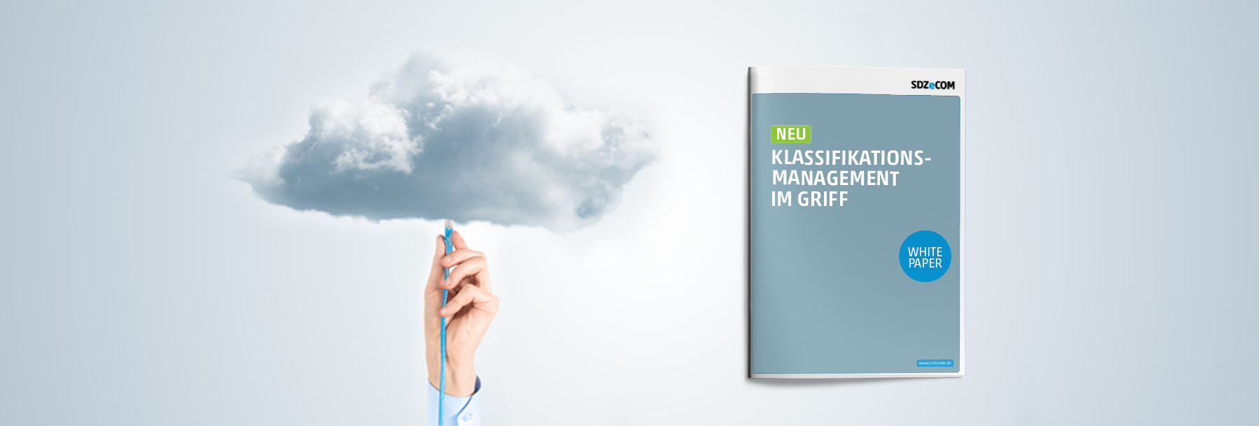 Header_Klassifikationsmanagement-im-Griff_Whitepaper 1