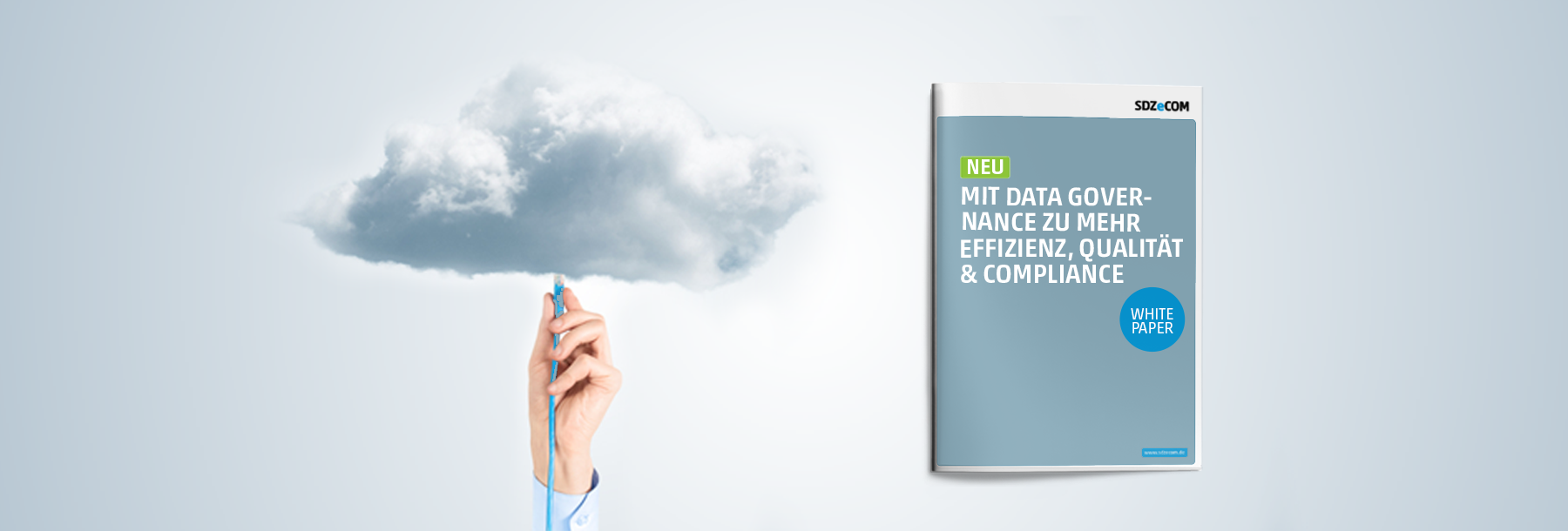 Header_Mit-Data-Governance_Whitepaper 1