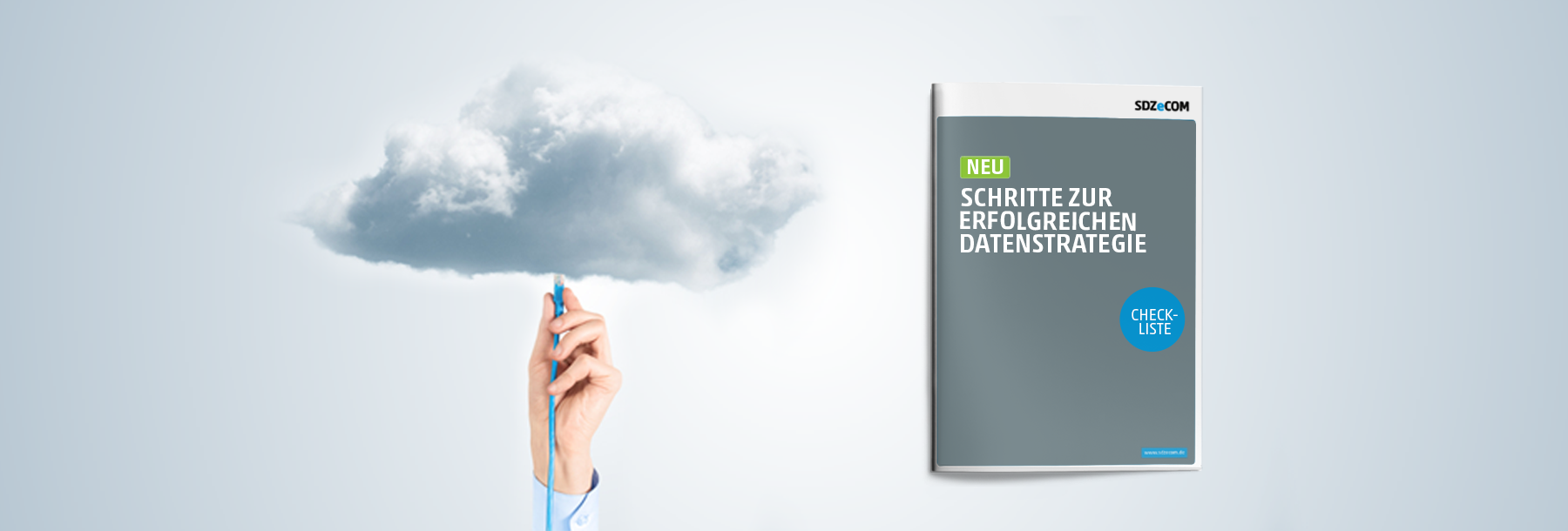 Header_Schritte-zur-erfolgreichen-Datenstrategie_Checkliste